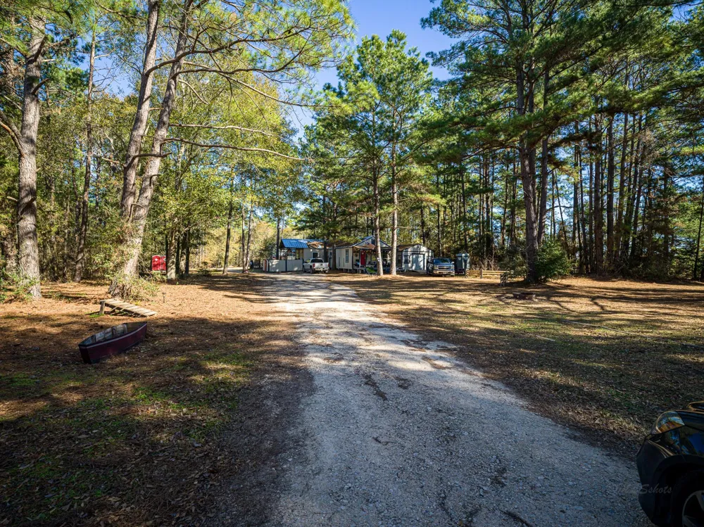 11201 County Road 203 Plantersville, TX 77363