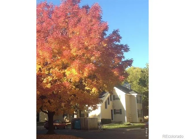 1300 W Stuart Street #8 Fort Collins, CO 80526