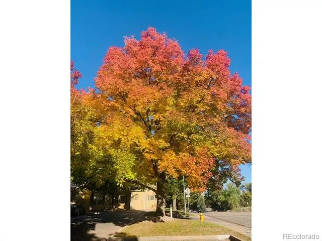 1300 W Stuart Street #8 Fort Collins, CO 80526