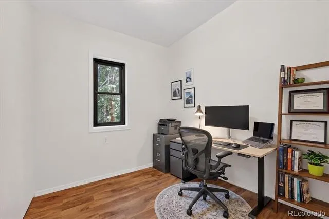 647 Old Little Bear Creek Road Idaho Springs, CO 80452