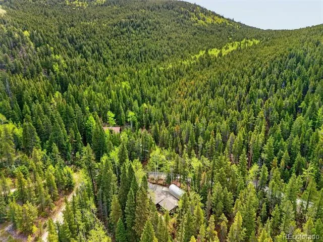 647 Old Little Bear Creek Road Idaho Springs, CO 80452