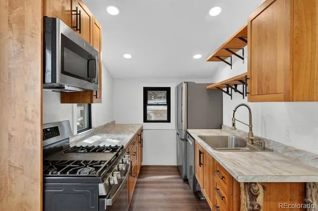 647 Old Little Bear Creek Road Idaho Springs, CO 80452