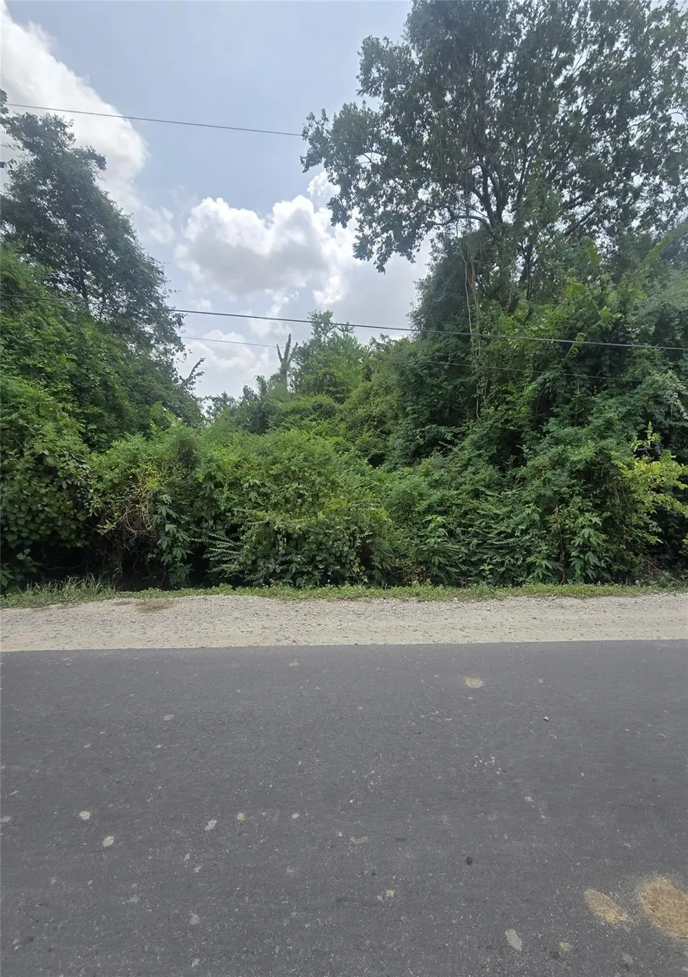 Forest Trail Drive Channelview, TX 77530