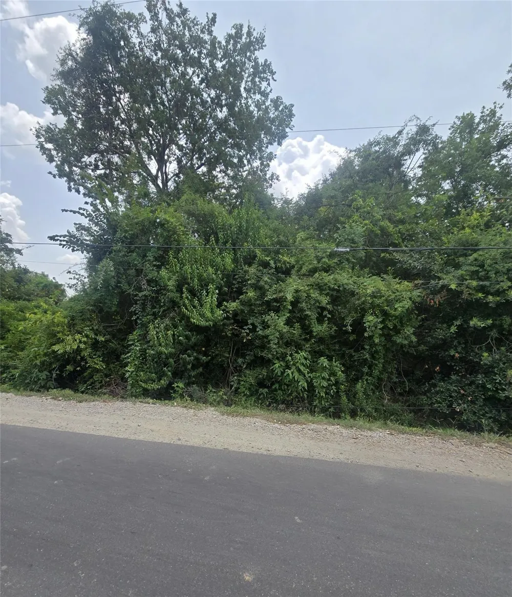 Forest Trail Drive Channelview, TX 77530