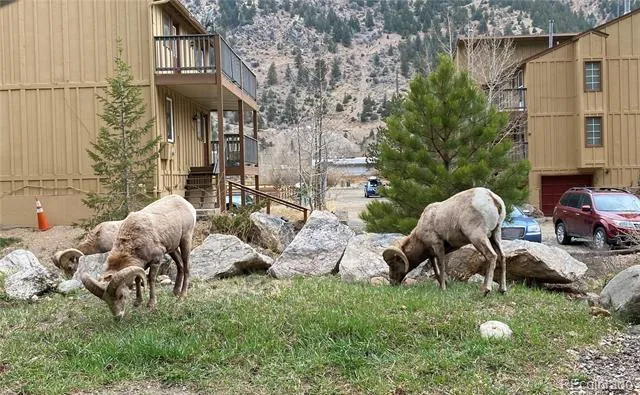 335 15th Street Georgetown, CO 80444