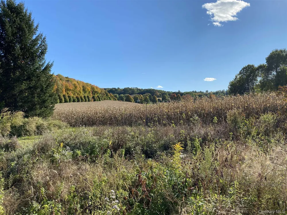 417 Tripp Road Millerton, NY 12546