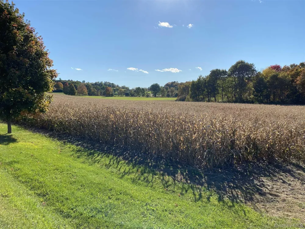 417 Tripp Road Millerton, NY 12546
