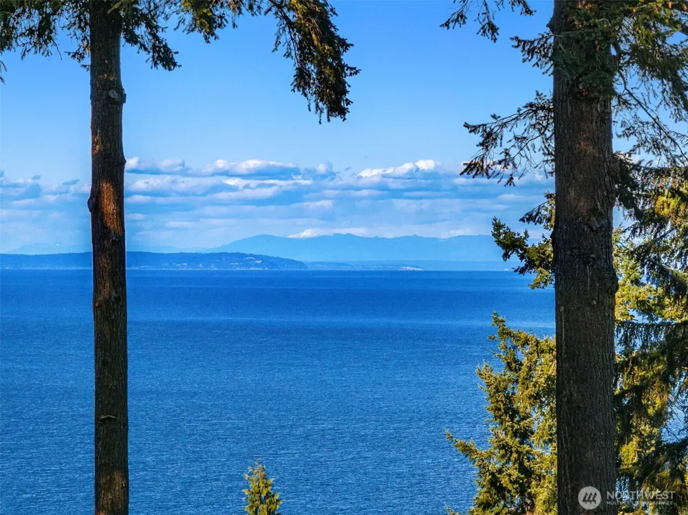 8010 Grand Avenue NE Bainbridge Island, WA 98110