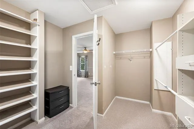 3682 E 92nd Place Thornton, CO 80229