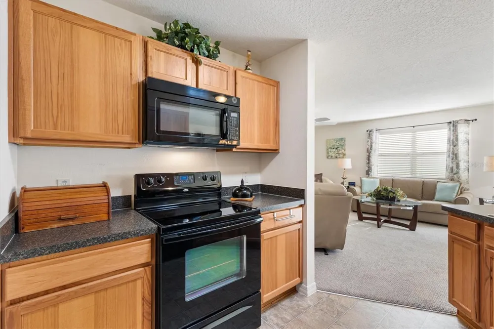 2015 PEACEFUL PLACE The Villages, FL 32162