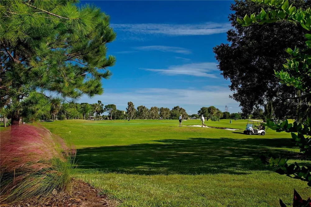206 SOLA LANE Sun City Center, FL 33573