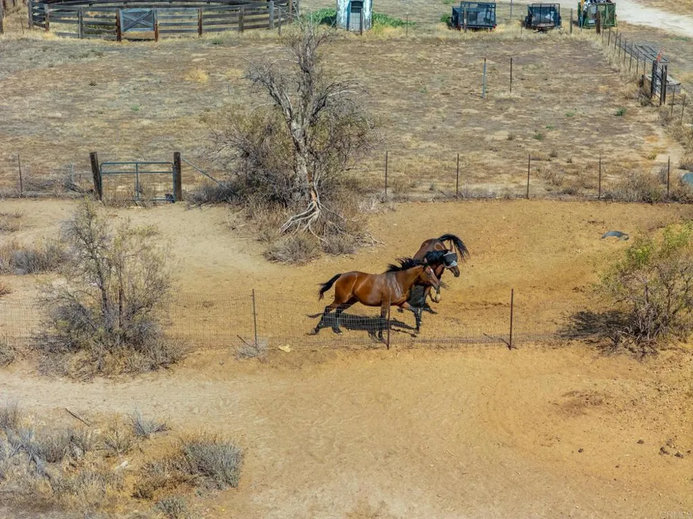 1366 Far Valley Road Campo, CA 91906