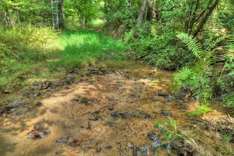4.70 ac Chestnut Gap Lane