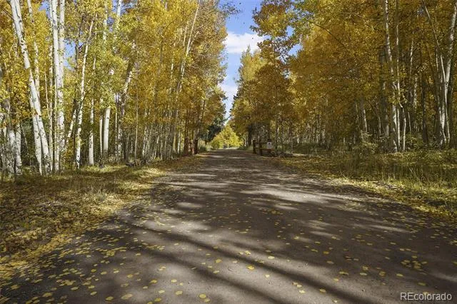 136 Elk Meadow Run Antonito, CO 81120