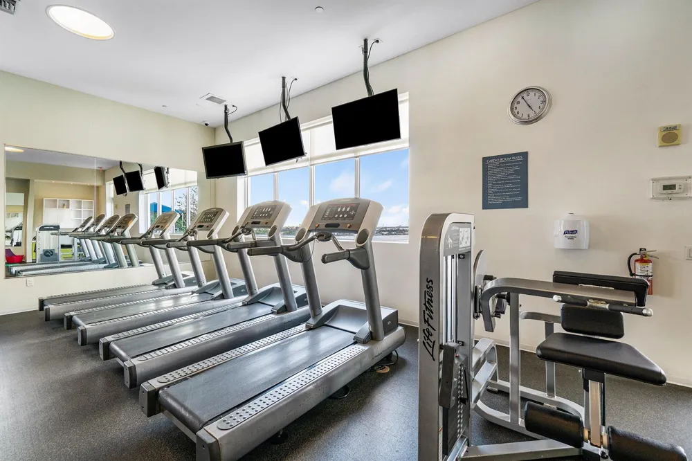 300 S AUSTRALIAN AVENUE #1520 West Palm Beach, FL 33401