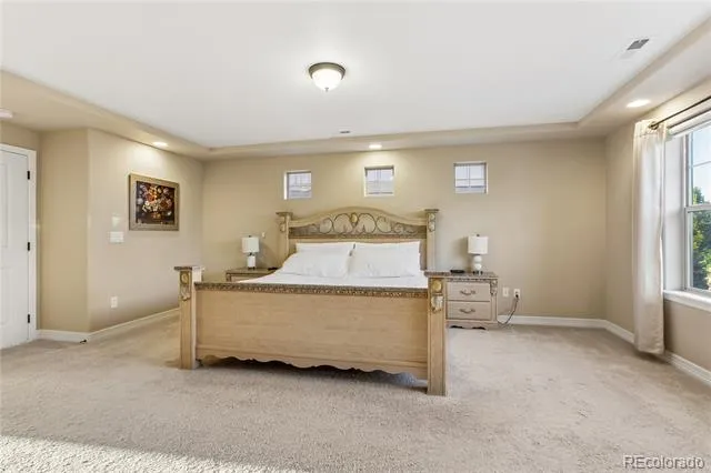 123 Pipit Lake Court Erie, CO 80516