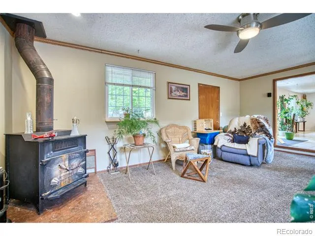 36 Placer Avenue Longmont, CO 80504