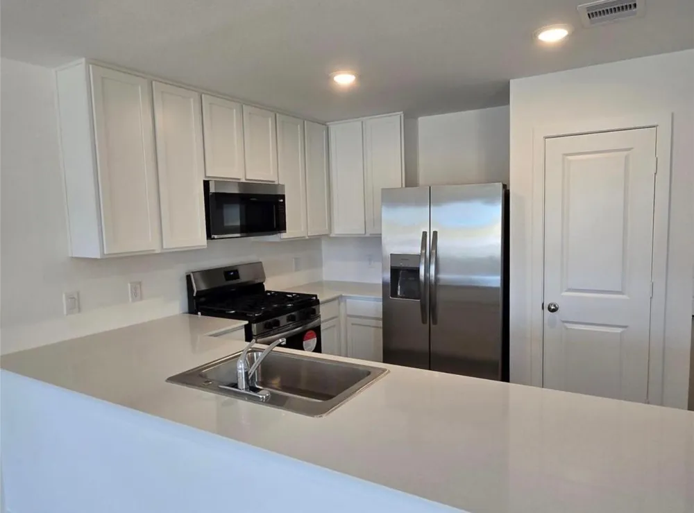 26918 Dalmatian Bellflower Drive Katy, TX 77493