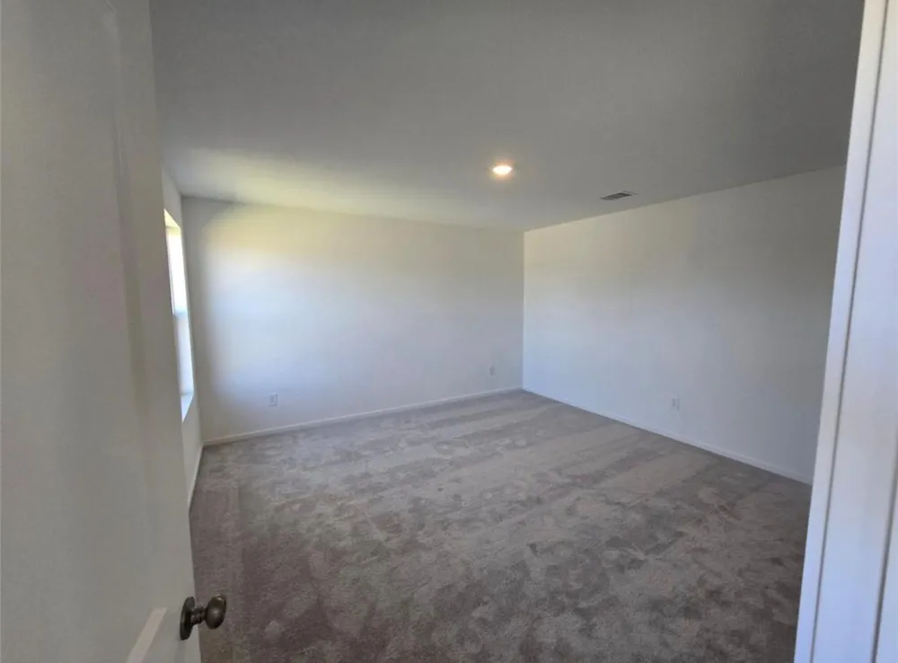 26918 Dalmatian Bellflower Drive Katy, TX 77493