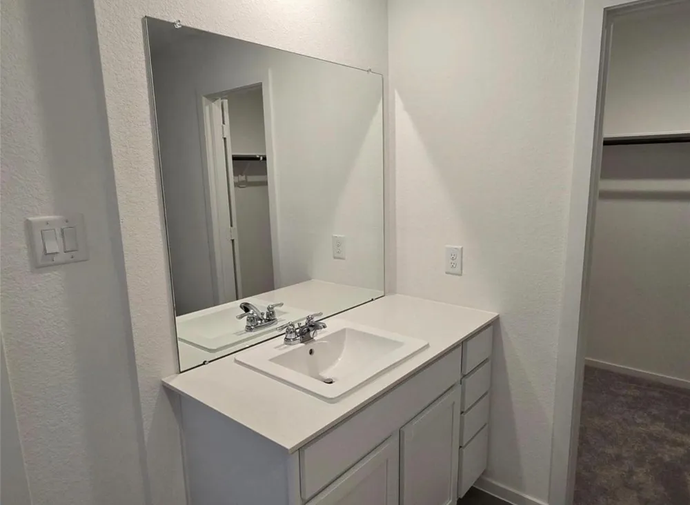 26918 Dalmatian Bellflower Drive Katy, TX 77493