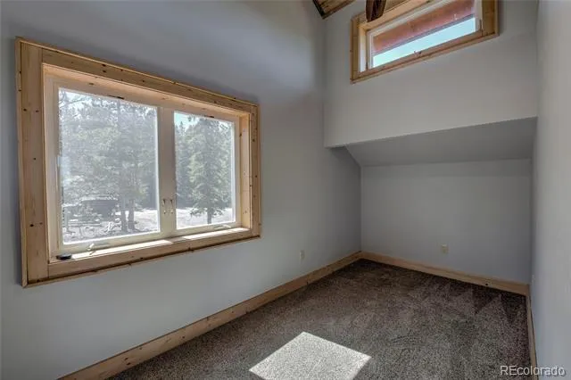 258 Gold Trail Cutoff Fairplay, CO 80440