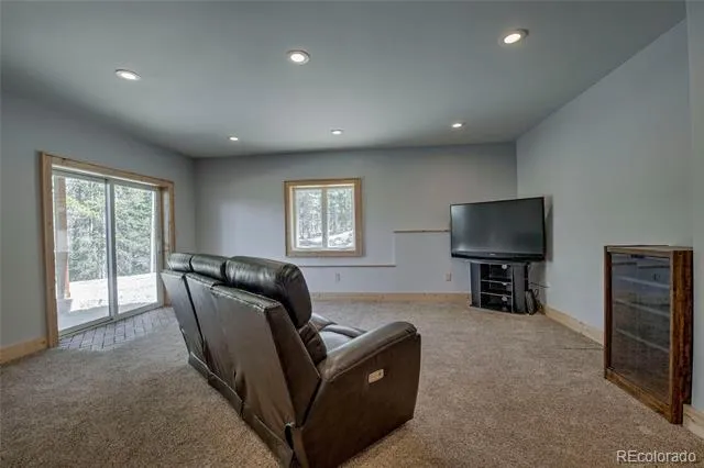 258 Gold Trail Cutoff Fairplay, CO 80440