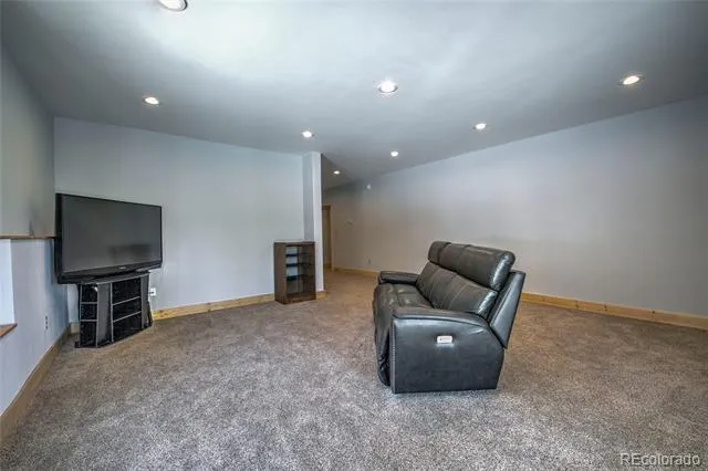 258 Gold Trail Cutoff Fairplay, CO 80440