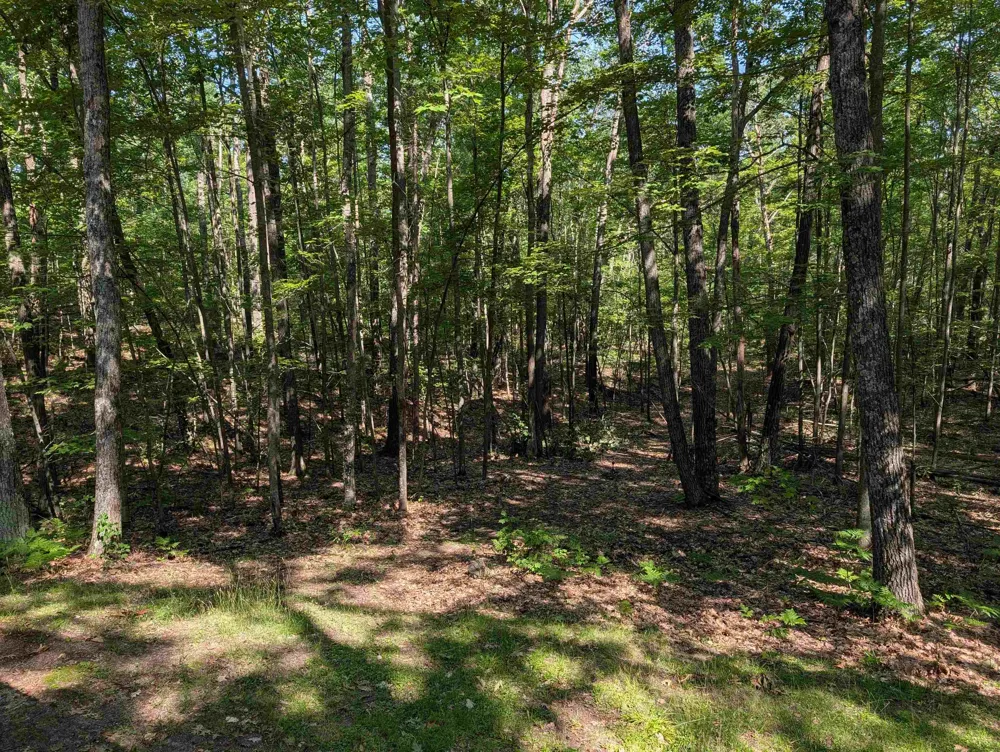 870 S Ross Road Millen Township, MI 48705