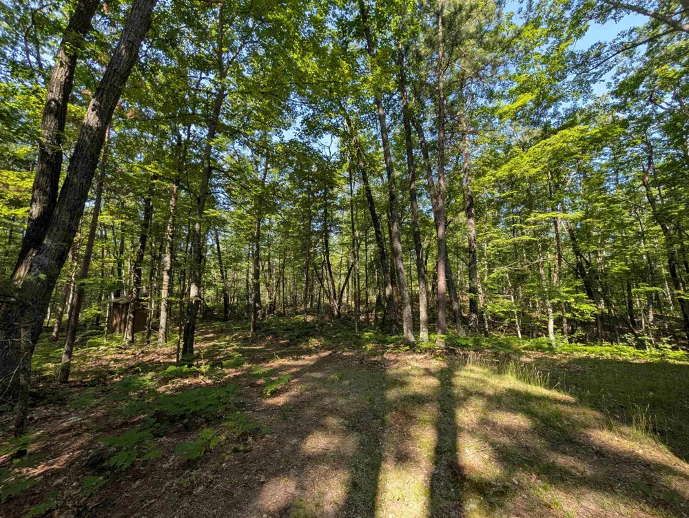 870 S Ross Road Millen Township, MI 48705