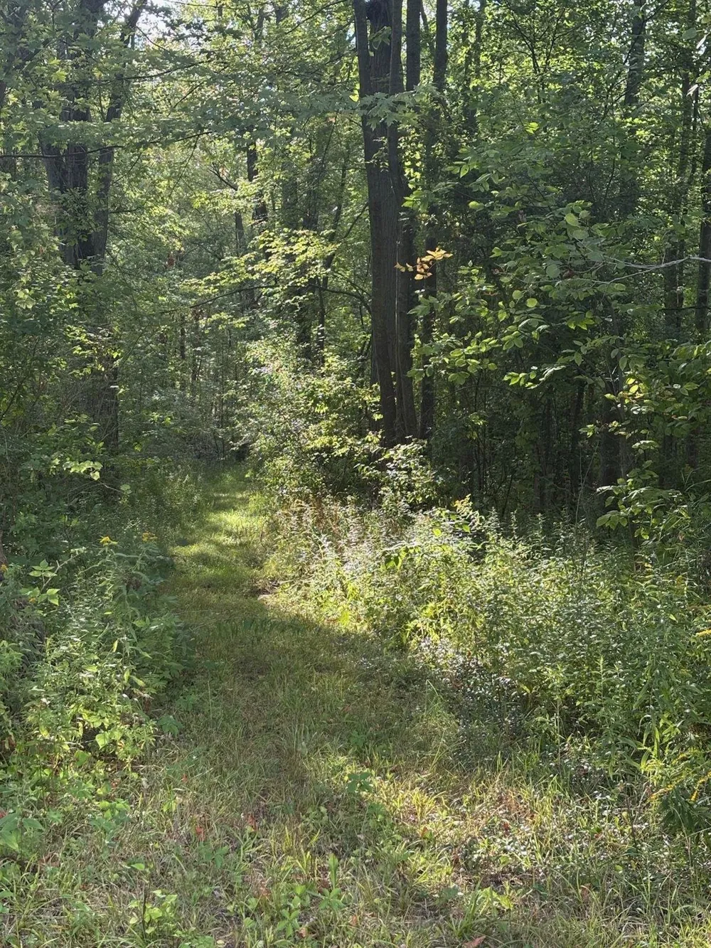 4589 Geneva Road Warren Township, MI 48618