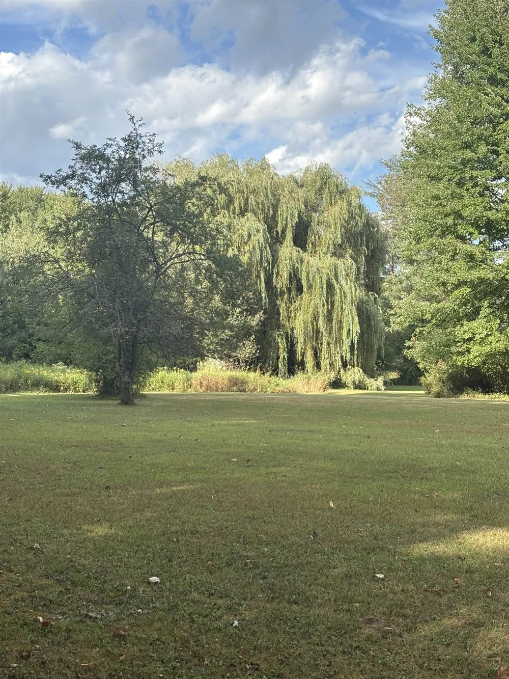 4589 Geneva Road Warren Township, MI 48618