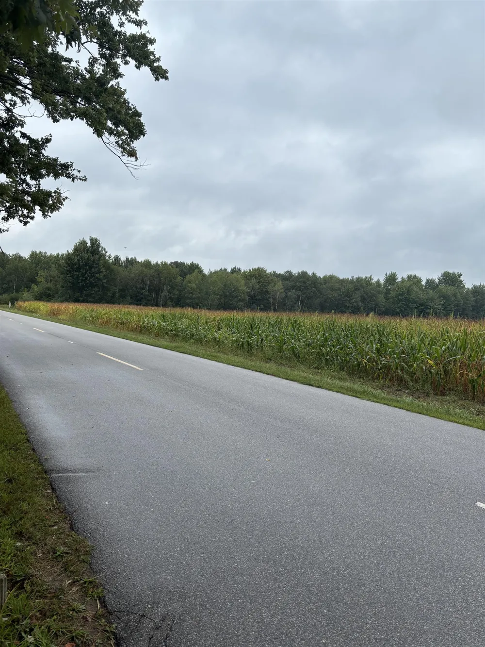 4589 Geneva Road Warren Township, MI 48618