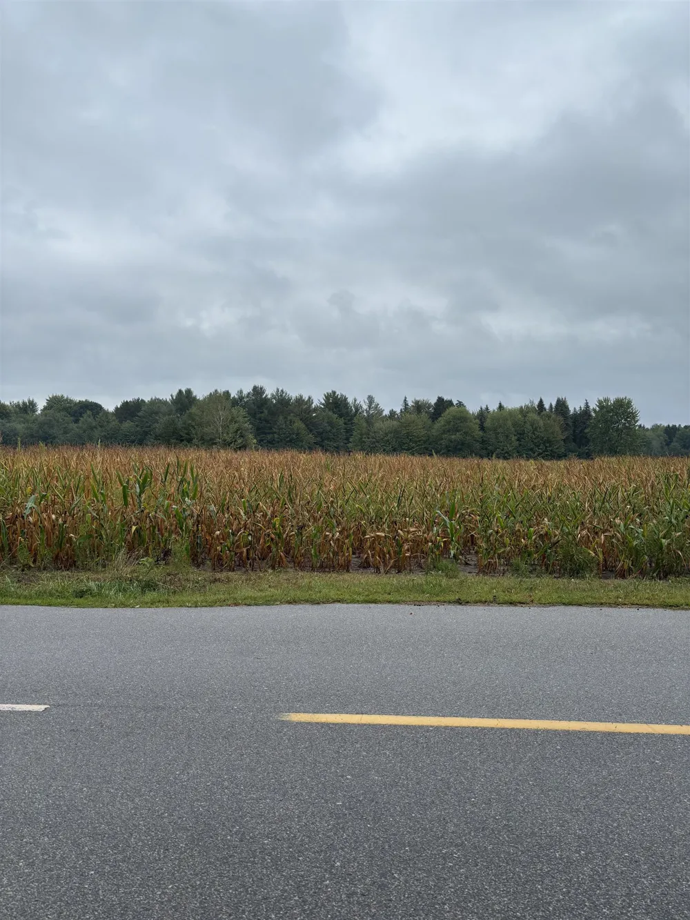 4589 Geneva Road Warren Township, MI 48618