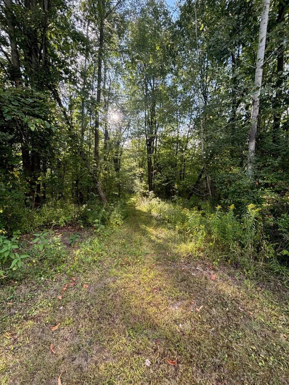 4589 Geneva Road Warren Township, MI 48618