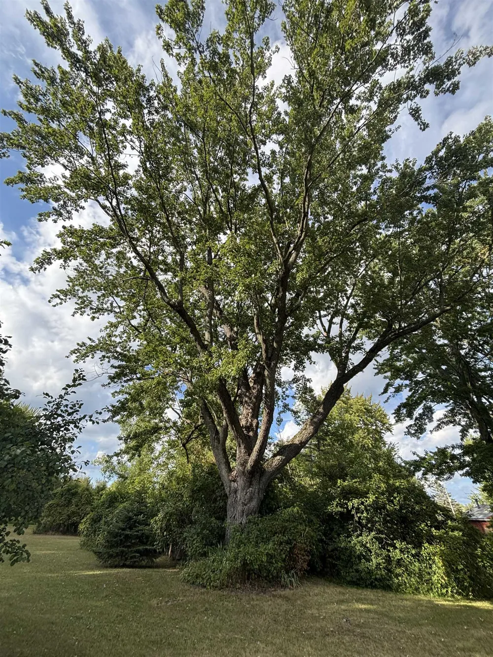 4589 Geneva Road Warren Township, MI 48618