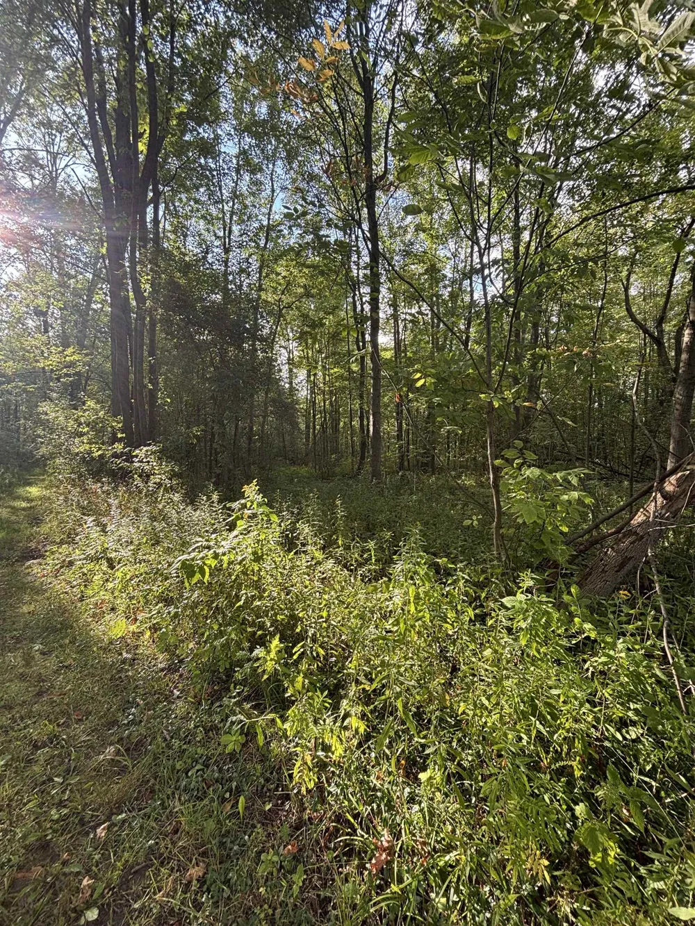 4589 Geneva Road Warren Township, MI 48618