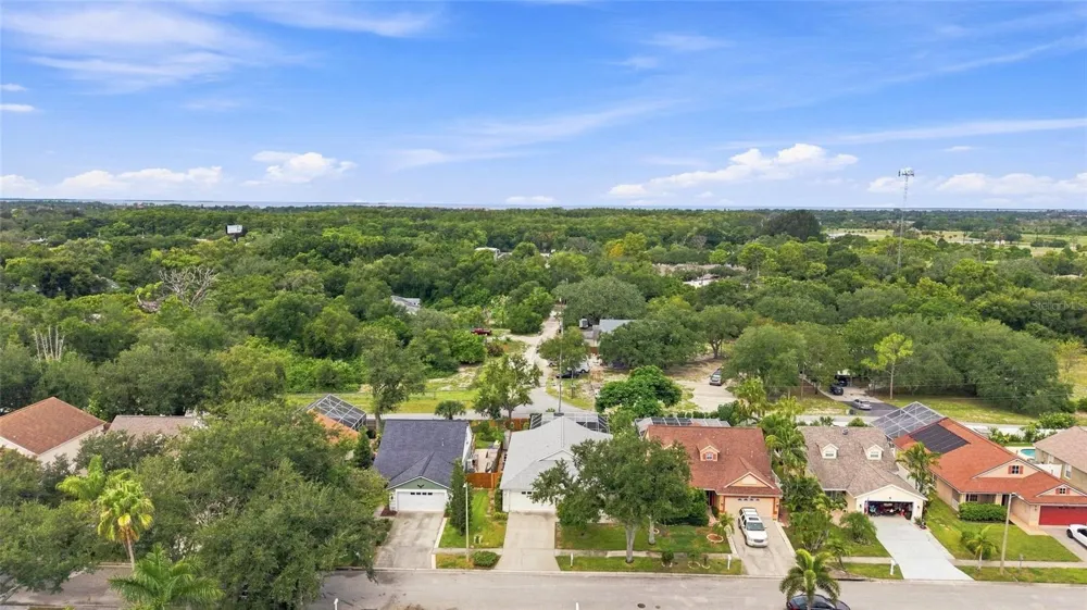 1702 MEADOW OAK LANE Tarpon Springs, FL 34689