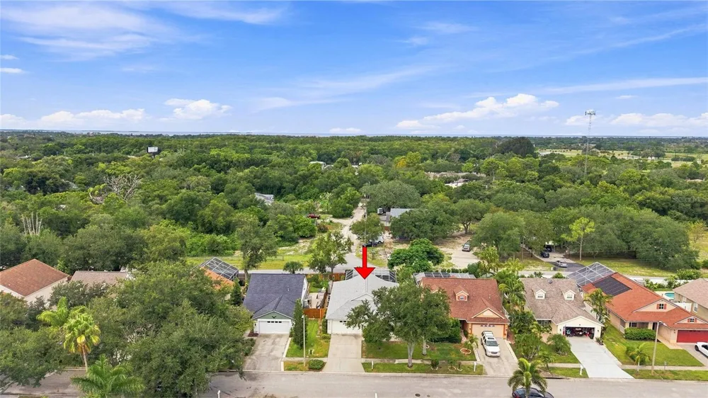 1702 MEADOW OAK LANE Tarpon Springs, FL 34689