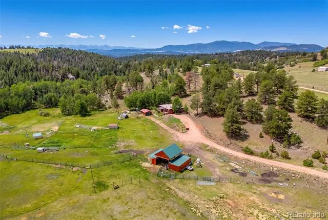 242 Poplar Lane Guffey, CO 80820