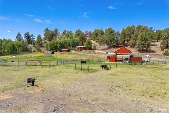 242 Poplar Lane Guffey, CO 80820