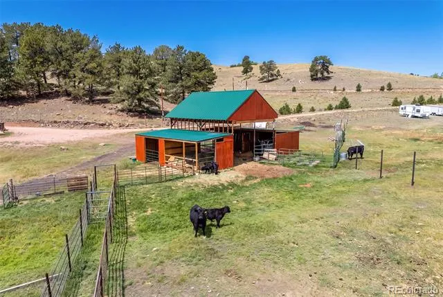 242 Poplar Lane Guffey, CO 80820