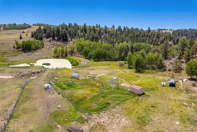242 Poplar Lane Guffey, CO 80820