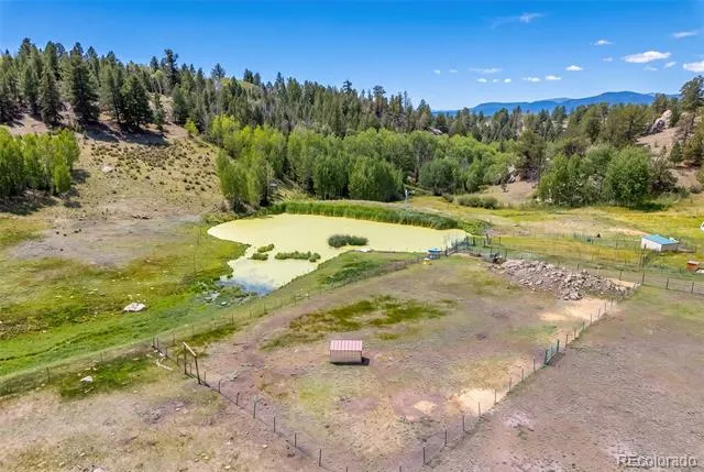 242 Poplar Lane Guffey, CO 80820