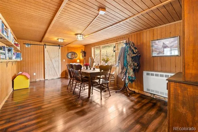 242 Poplar Lane Guffey, CO 80820