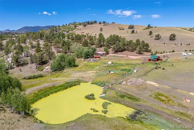 242 Poplar Lane Guffey, CO 80820