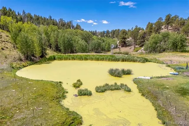 242 Poplar Lane Guffey, CO 80820