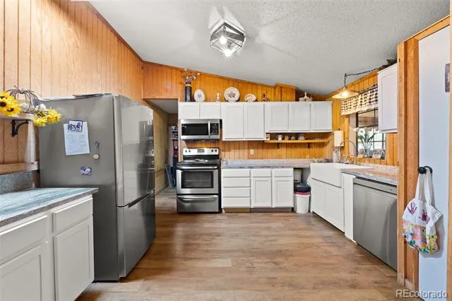 242 Poplar Lane Guffey, CO 80820