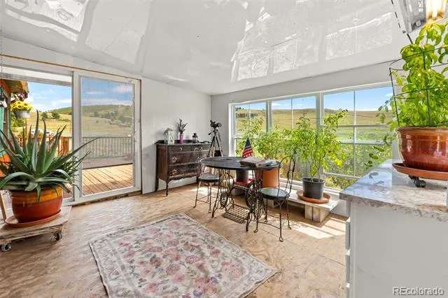 242 Poplar Lane Guffey, CO 80820