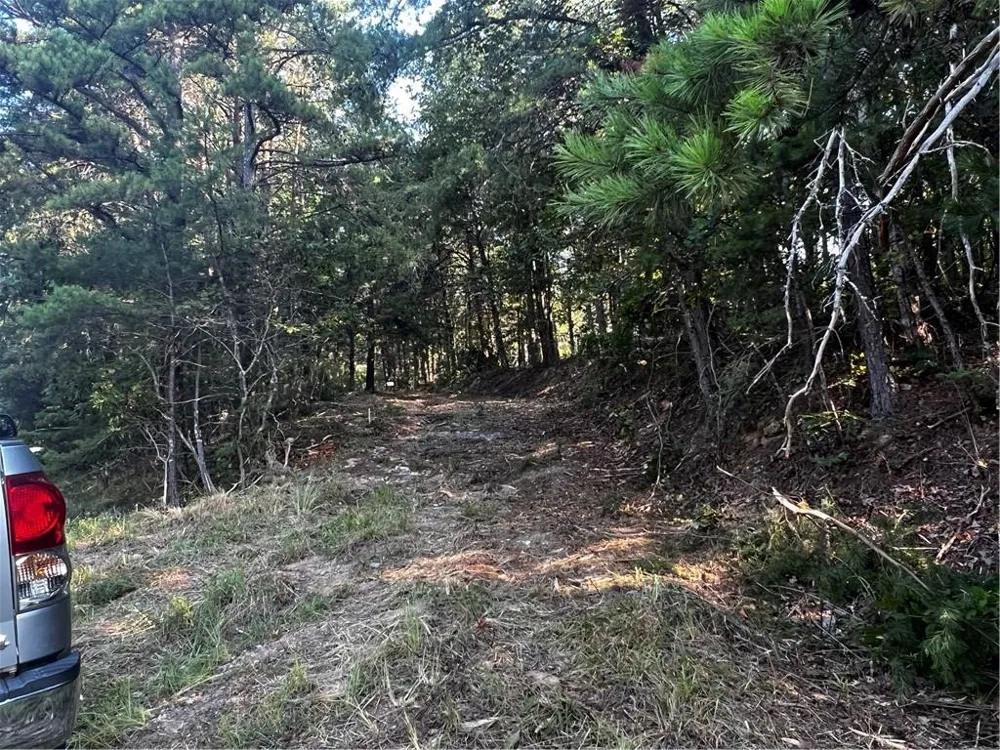 330 Wild Azalea Trail Waleska, GA 30183