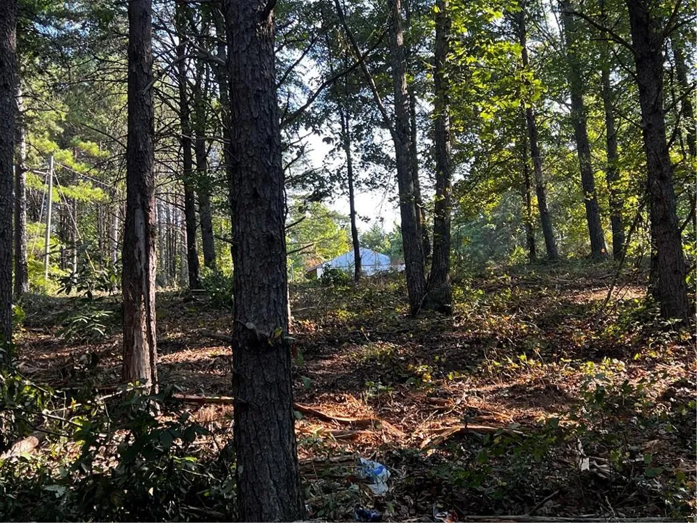 330 Wild Azalea Trail Waleska, GA 30183